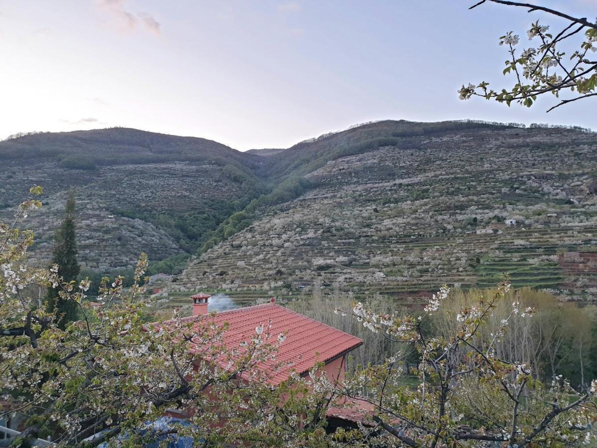 Casas Rurales El Cerro Y El Cerezo Navaconcejo Exterior foto